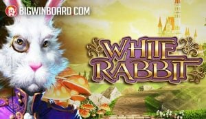 ขอ เครดิต ฟรี ไม่ ต้อง ฝาก ไม่ ต้อง แชร์ วิธีเล่นเกมสล็อต